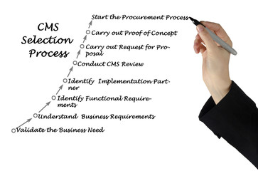 Diagram of CMS Selection Process