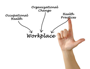 What influence the workplace