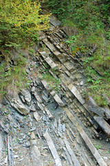River on Carpathian mountains