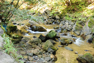 River on Carpathian mountains
