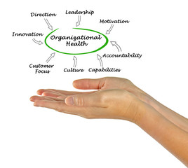Diagram of Organizational Health