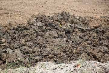 dry soil for agriculture in country Thailand