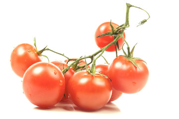 vine ripe tomatoes branch