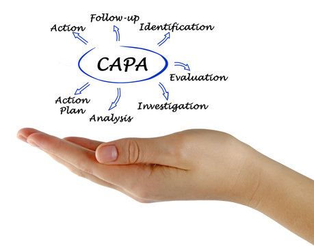 Diagram of CAPA