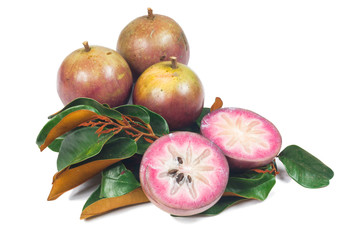 purple star apple or cainito fruit with leaf isolated on white background
