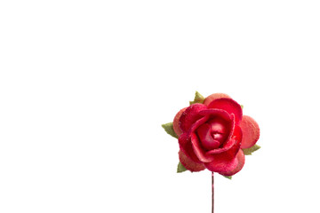 rose paper isolate on white background