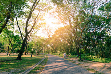 Pathway middle of sylvan garden in urban city.