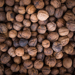 Walnut background