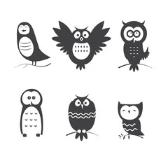 Cartoon owls set. Six different species of owls. Vector image.