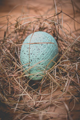 Obraz premium Easter eggs on wooden background