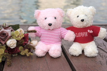 couple teddy bears picnic in garden