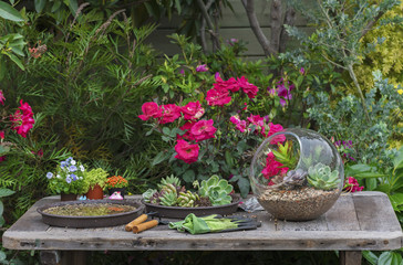 Gardening tools, watering can, seeds, plants and soil on vintage table in garden