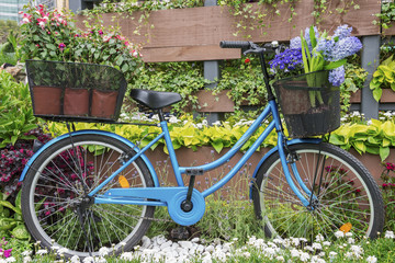 Fototapeta na wymiar bicycle equipped with baskets of flowers in garden