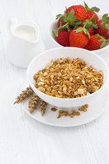 homemade baked muesli, strawberries and milk, vertical