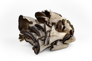 Raw fresh mushrooms
