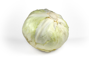 green cabbage isolated on white background