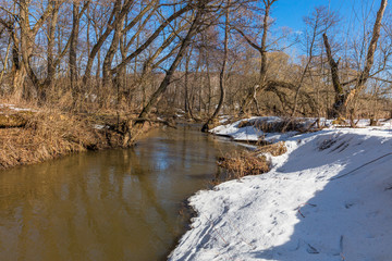 Forest river at early spring