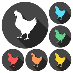 Chicken icons set with long shadow