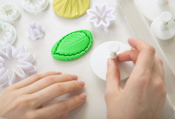 Artist makes jewelry from polymer clay, process. Workshop