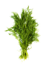 fresh dill on white background