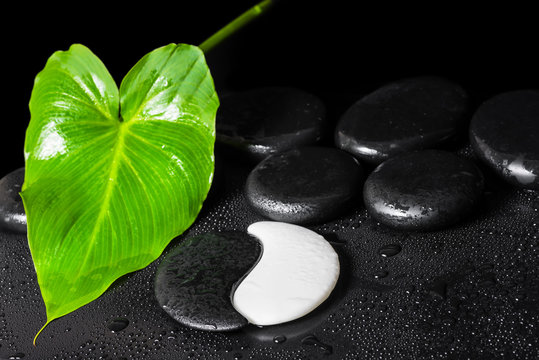 beautiful spa background of Yin-Yang stone texture, green leaf w