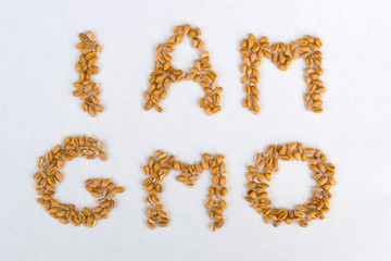 GMO concept
