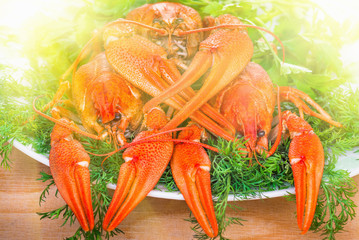 boiled crayfish with herbs