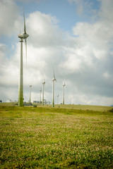 Wind turbines at Windy Hill Wind Farm power station on the Atherton Tablelands
Ravenshoe, North...