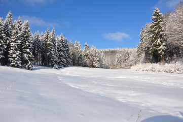 Obraz premium Winterlanschaft im Thüringer Wald