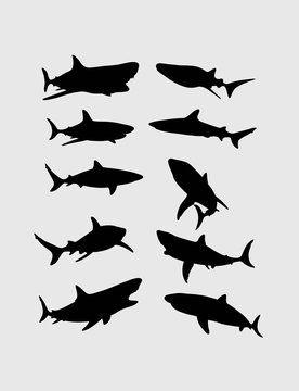 Shark Silhouettes, art vector design