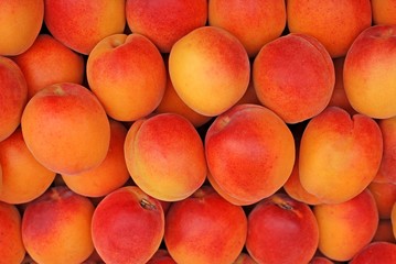 Apricots on the market. Apricot fruits. Apricot background.