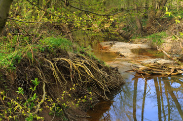 Landschaft 239