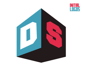 DS Initial Logo for your startup venture