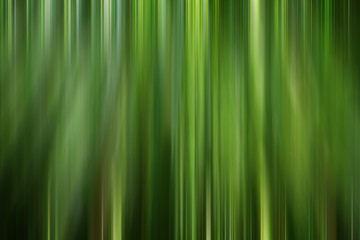 Bamboo grove, abstract