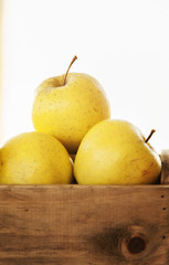 fresh autumn yellow apples on wooden table