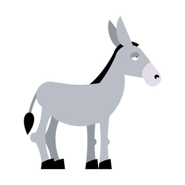 Donkey on white background. Donkey isolated. Cartoon donkey. dom