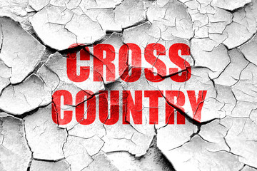 Grunge cracked cross country sign background