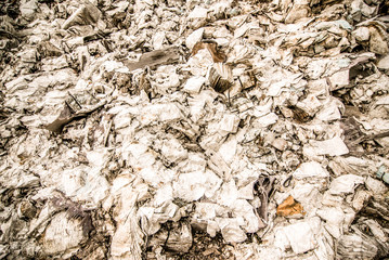 abandoned industrial building - administration paper documents