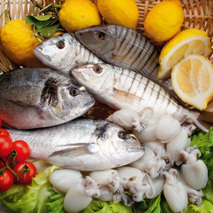 Food cousine fish composition, ingredient for eating