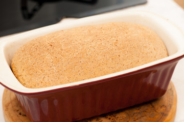 Hand knead spelt bread, fresh baked in baking sheet.
