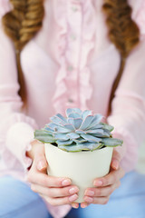 Closeup woman hands with natural manicure holding pot with beautiful succulent plant