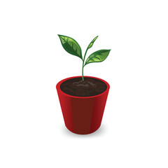 Icon plants in the pot isolated on white background.