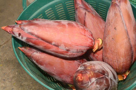 banana blossom