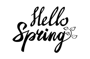 Hello spring inscription. Greeting card with calligraphy. Hand drawn lettering design. Usable as photo overlay. Typography for banner, poster or apparel design. Isolated vector element.
