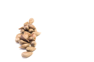Apple seeds on white wooden background 