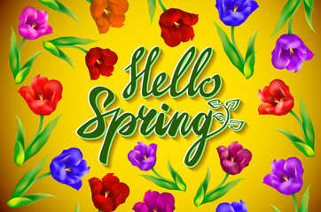 Hello Spring Poster Design in Realistic Colorful Vector Flowers Background with Vines for Spring Season. Vector Illustration