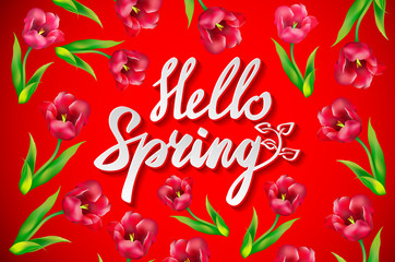 Hello Spring phrase vector lettering. Hand drawn calligraphy, red background. tulip