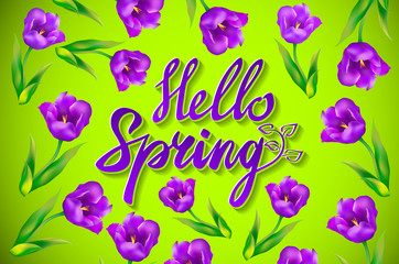 Hello Spring Vector Design with 3D Realistic Fresh Plants and Flowers Elements for Spring Season. Vector Illustration