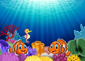 Fototapeta na wymiar Cute clown fish and Seahorse in beautiful underwater 