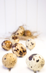 Fototapeta premium Quail eggs